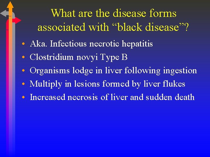 What are the disease forms associated with “black disease”? • • • Aka. Infectious