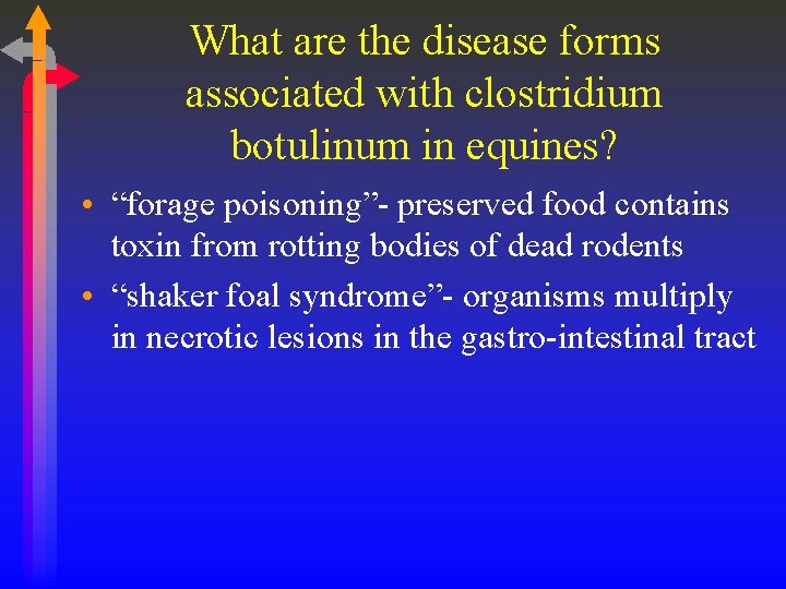 What are the disease forms associated with clostridium botulinum in equines? • “forage poisoning”-