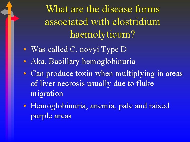 What are the disease forms associated with clostridium haemolyticum? • Was called C. novyi