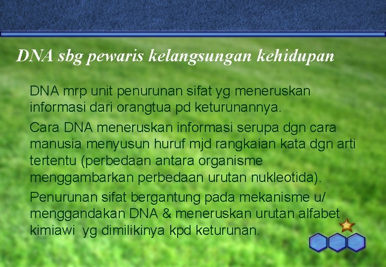 DNA sbg pewaris kelangsungan kehidupan DNA mrp unit penurunan sifat yg meneruskan informasi dari