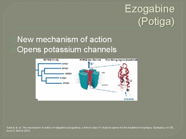 Ezogabine (Potiga) �New mechanism of action �Opens potassium channels Sankar et. al. The mechanism