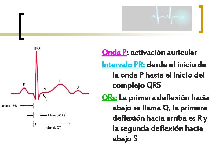 Onda P: activación auricular Intervalo PR: desde el inicio de la onda P hasta
