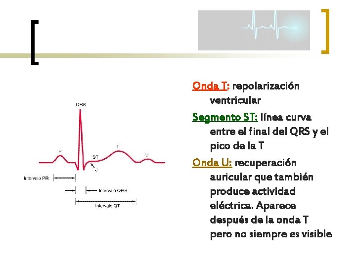 Onda T: repolarización ventricular Segmento ST: línea curva entre el final del QRS y