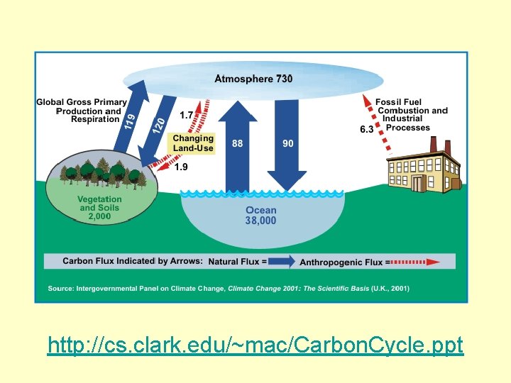 http: //cs. clark. edu/~mac/Carbon. Cycle. ppt 