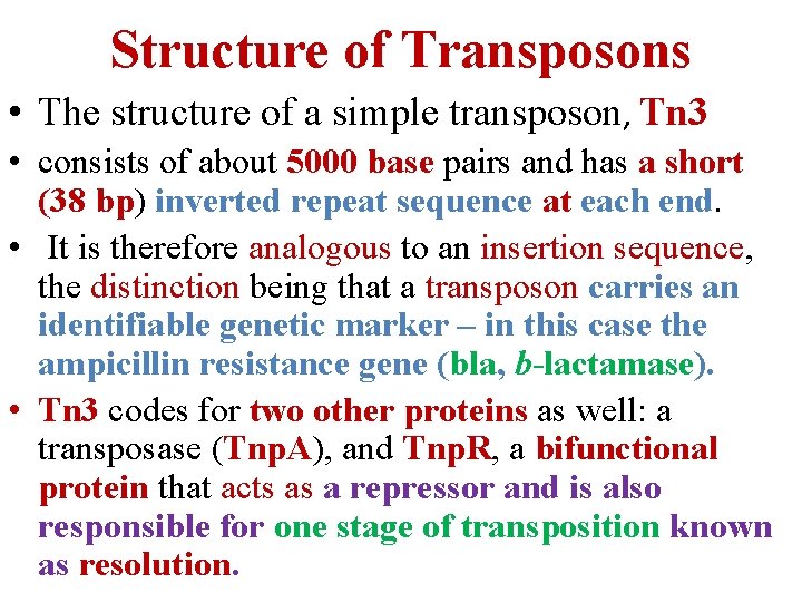 Structure of Transposons • The structure of a simple transposon, Tn 3 • consists