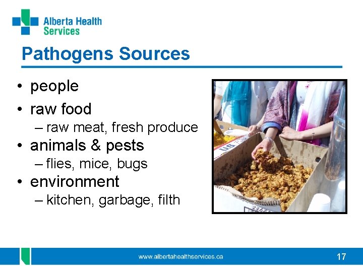 Pathogens Sources • people • raw food – raw meat, fresh produce • animals