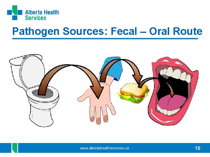 Pathogen Sources: Fecal – Oral Route 18 