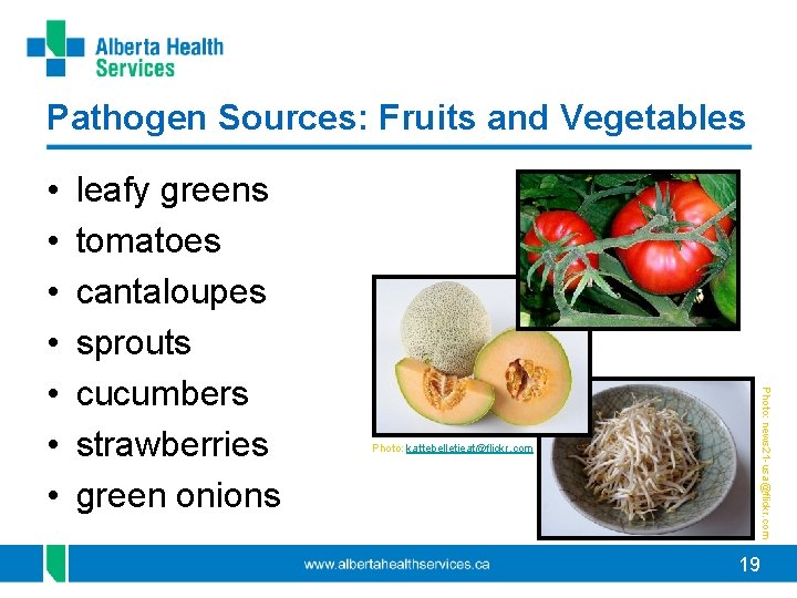 Pathogen Sources: Fruits and Vegetables leafy greens tomatoes cantaloupes sprouts cucumbers strawberries green onions