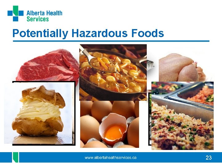 Potentially Hazardous Foods 23 