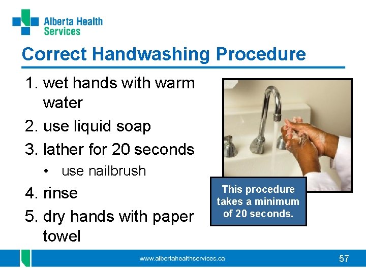 Correct Handwashing Procedure 1. wet hands with warm water 2. use liquid soap 3.