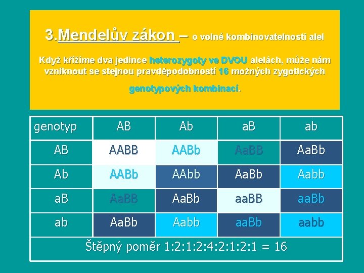 3. Mendelův zákon – o volné kombinovatelnosti alel Když křížíme dva jedince heterozygoty ve