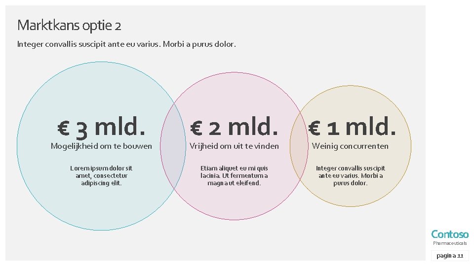 Marktkans optie 2 Integer convallis suscipit ante eu varius. Morbi a purus dolor. €