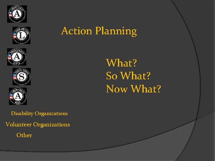 Action Planning What? So What? Now What? Disability Organizations Volunteer Organizations Other 