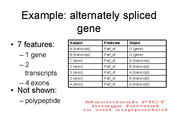 Example: alternately spliced gene • 7 features: – 1 gene – 2 transcripts –