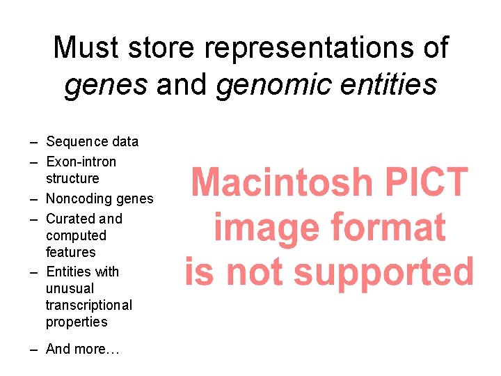 Must store representations of genes and genomic entities – Sequence data – Exon-intron structure