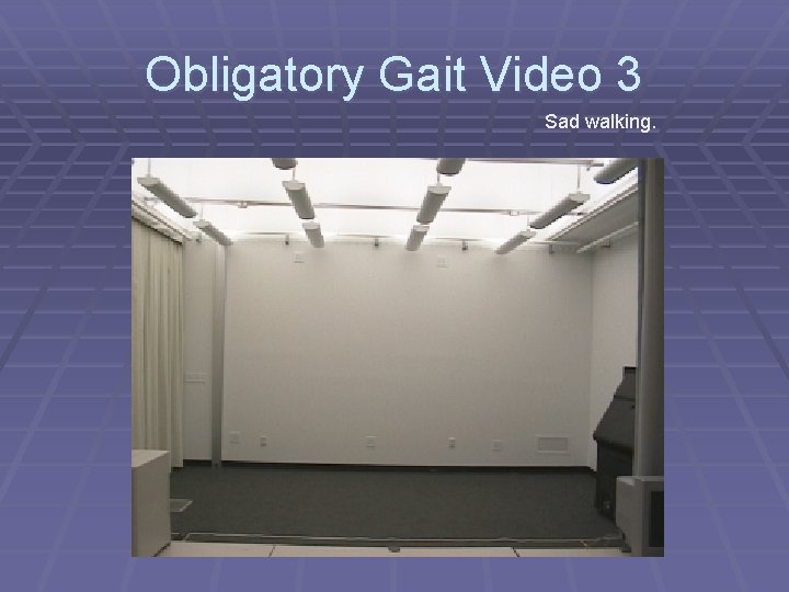 Obligatory Gait Video 3 Sad walking. 
