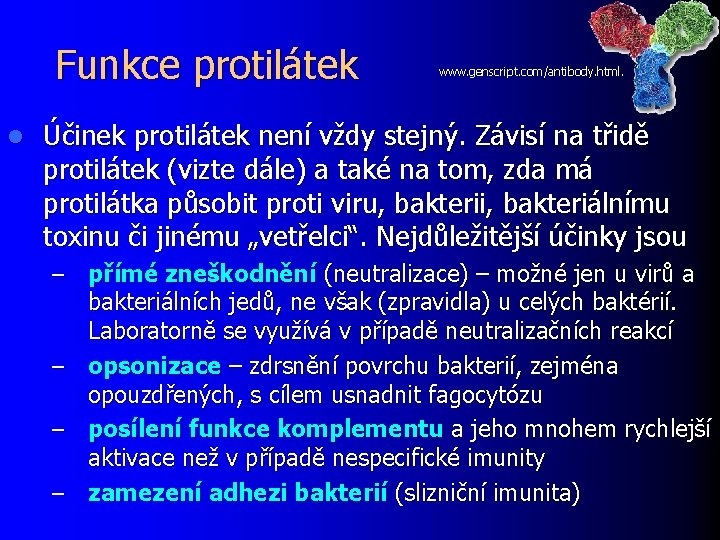 Funkce protilátek l www. genscript. com/antibody. html. Účinek protilátek není vždy stejný. Závisí na