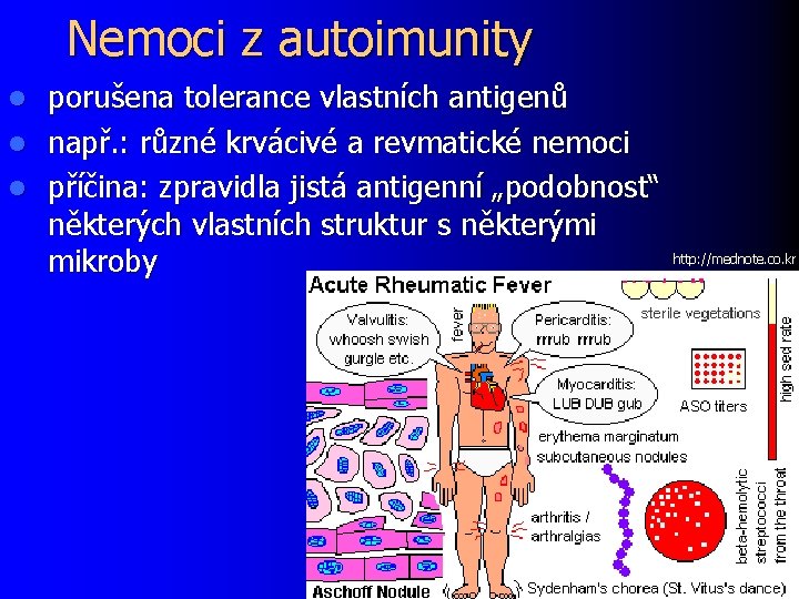Nemoci z autoimunity porušena tolerance vlastních antigenů l např. : různé krvácivé a revmatické