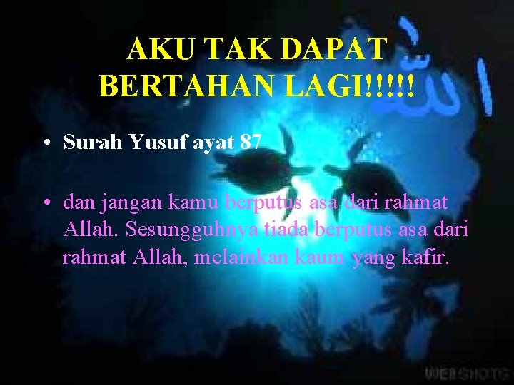 AKU TAK DAPAT BERTAHAN LAGI!!!!! • Surah Yusuf ayat 87 • dan jangan kamu