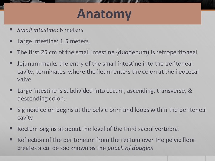 Anatomy § Small intestine: 6 meters § Large intestine: 1. 5 meters. § The