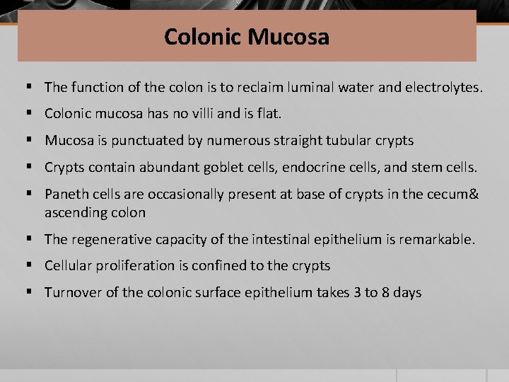 Colonic Mucosa § The function of the colon is to reclaim luminal water and