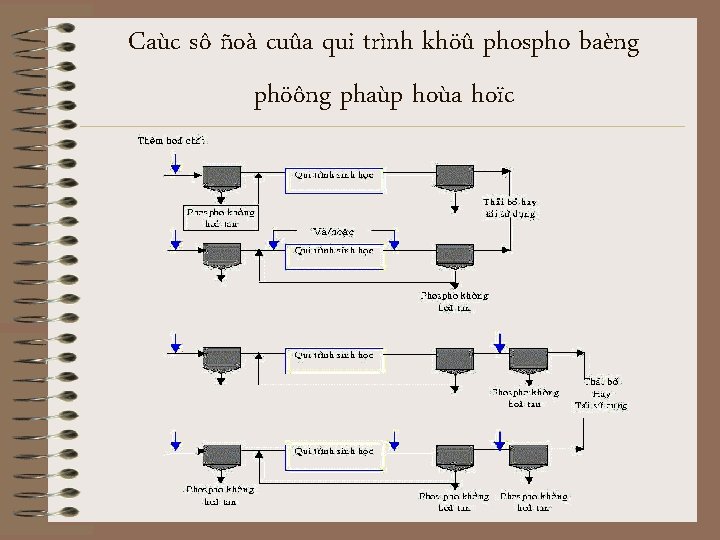 Caùc sô ñoà cuûa qui trình khöû phospho baèng phöông phaùp hoùa hoïc 