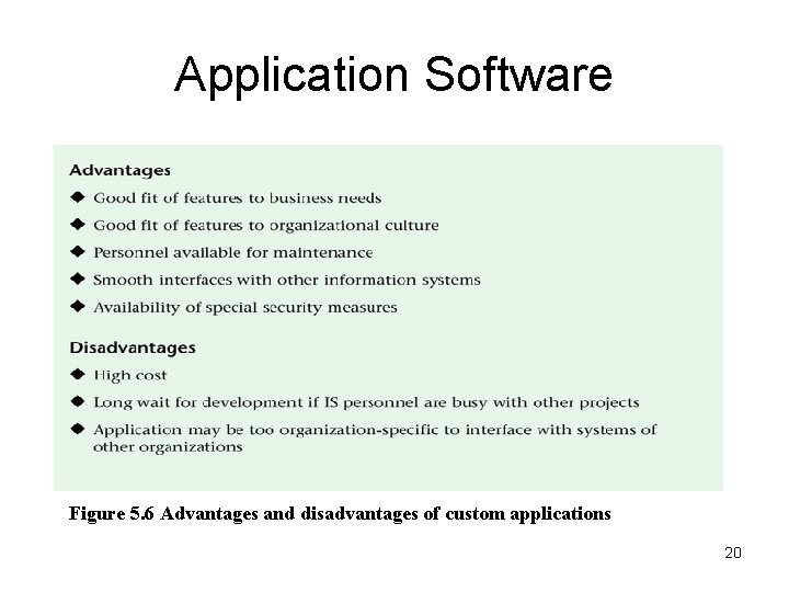 Application Software Figure 5. 6 Advantages and disadvantages of custom applications 20 