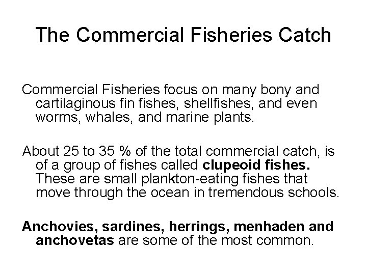 The Commercial Fisheries Catch Commercial Fisheries focus on many bony and cartilaginous fin fishes,