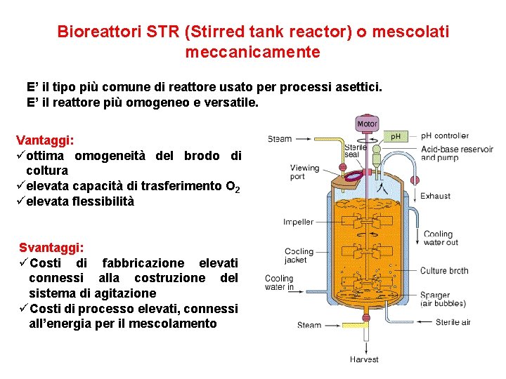 Bioreattori STR (Stirred tank reactor) o mescolati meccanicamente E’ il tipo più comune di