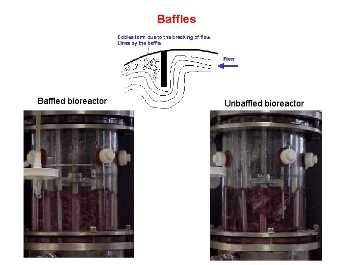 Baffles Baffled bioreactor Unbaffled bioreactor 