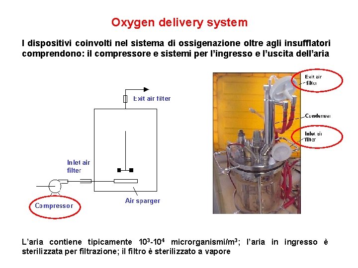 Oxygen delivery system I dispositivi coinvolti nel sistema di ossigenazione oltre agli insufflatori comprendono: