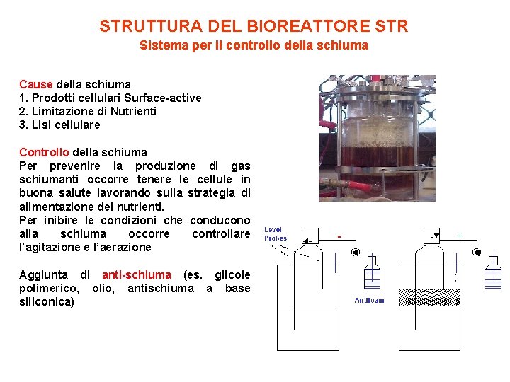 STRUTTURA DEL BIOREATTORE STR Sistema per il controllo della schiuma Cause della schiuma 1.