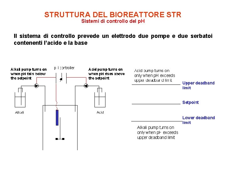 STRUTTURA DEL BIOREATTORE STR Sistemi di controllo del p. H Il sistema di controllo