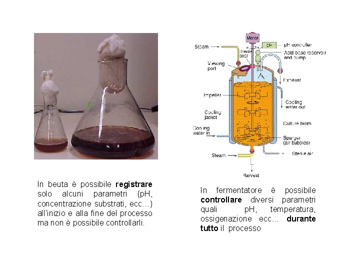 In beuta è possibile registrare solo alcuni parametri (p. H, concentrazione substrati, ecc…) all’inizio