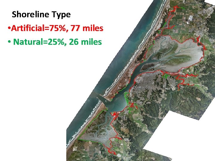 Shoreline Type • Artificial=75%, 77 miles • Natural=25%, 26 miles 