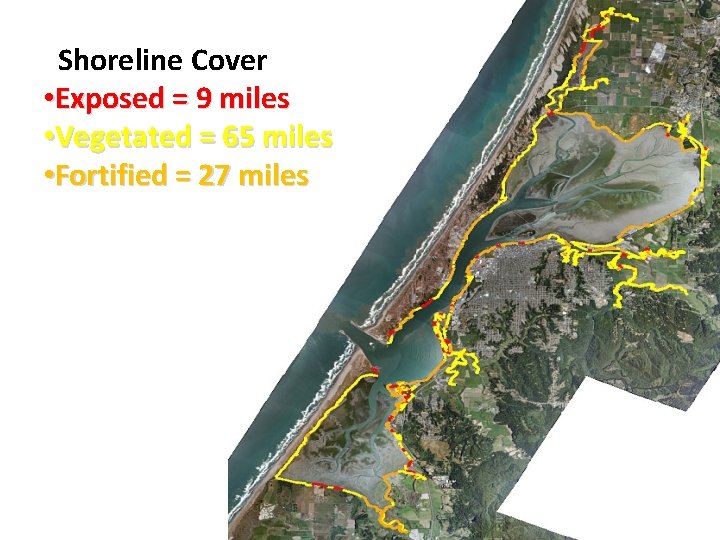 Shoreline Cover • Exposed = 9 miles • Vegetated = 65 miles • Fortified