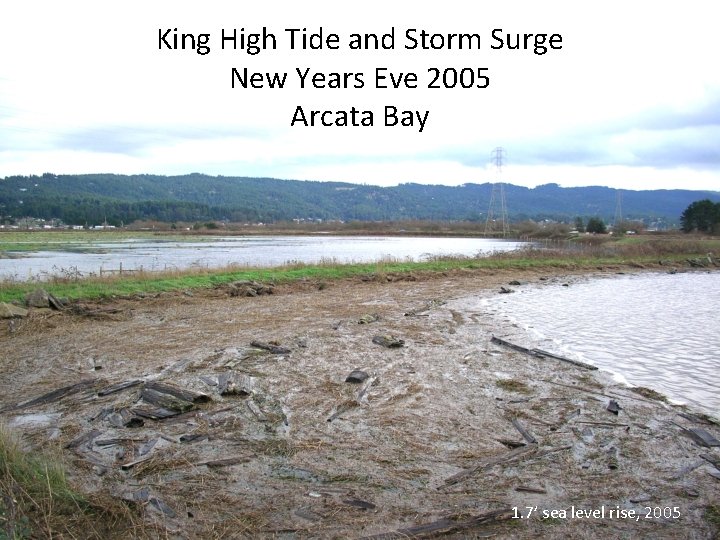 King High Tide and Storm Surge New Years Eve 2005 Arcata Bay 1. 7’