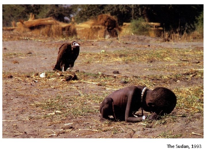 The Sudan, 1993 The Sudan, 1993
