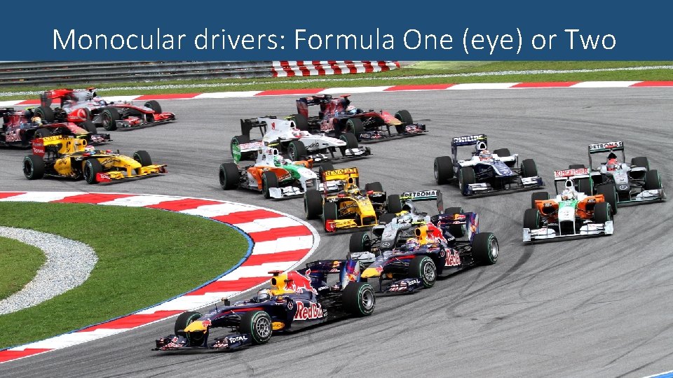 Monocular drivers: Formula One (eye) or Two 