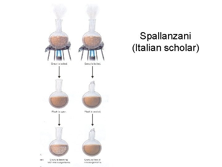 Spallanzani (Italian scholar) 