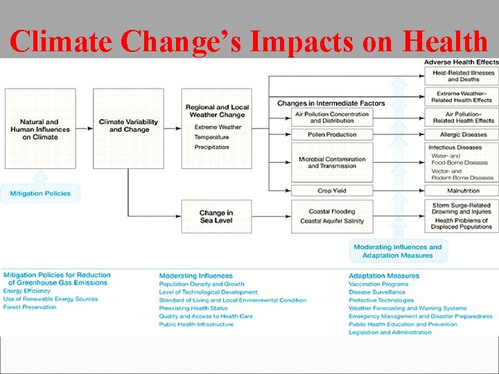 Climate Change’s Impacts on Health 