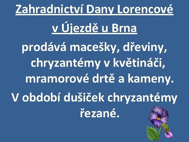 Zahradnictví Dany Lorencové v Újezdě u Brna prodává macešky, dřeviny, chryzantémy v květináči, mramorové