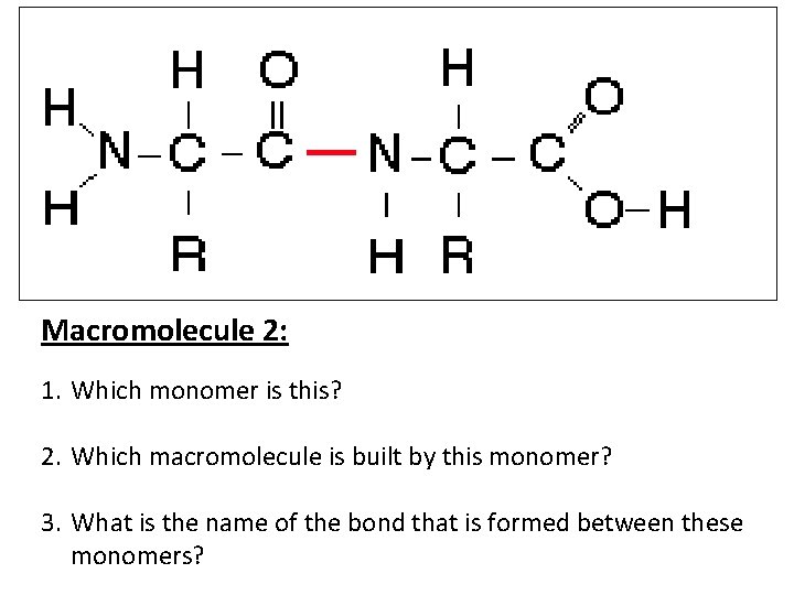 Macromolecule 2: 1. Which monomer is this? 2. Which macromolecule is built by this