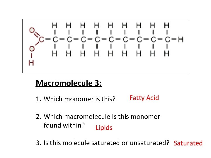 Macromolecule 3: 1. Which monomer is this? Fatty Acid 2. Which macromolecule is this