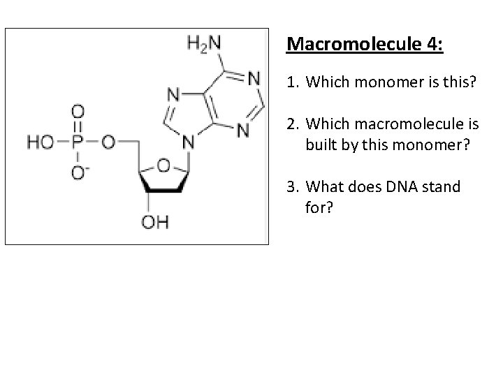 Macromolecule 4: 1. Which monomer is this? 2. Which macromolecule is built by this