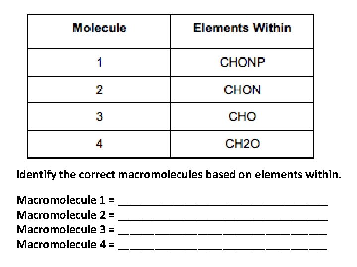 Identify the correct macromolecules based on elements within. Macromolecule 1 = _________________ Macromolecule 2