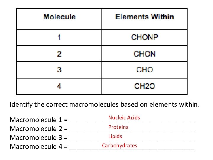 Identify the correct macromolecules based on elements within. Nucleic Acids Macromolecule 1 = _________________