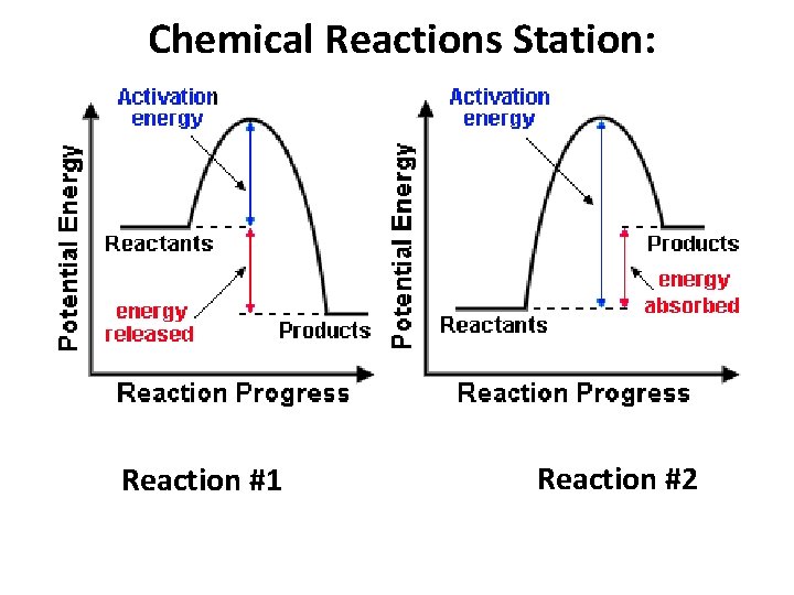 Chemical Reactions Station: Reaction #1 Reaction #2 