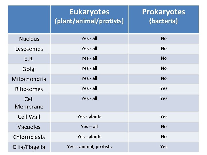 Eukaryotes Prokaryotes Nucleus Yes - all No Lysosomes Yes - all No E. R.