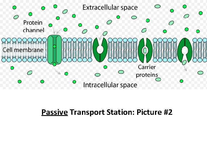 Passive Transport Station: Picture #2 